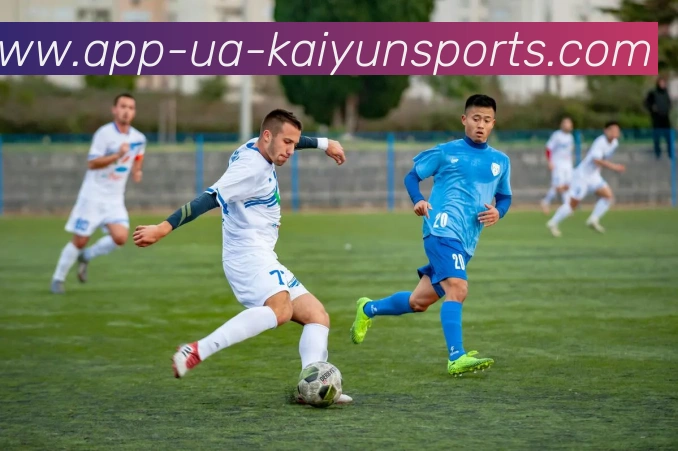 开云app平台生态图