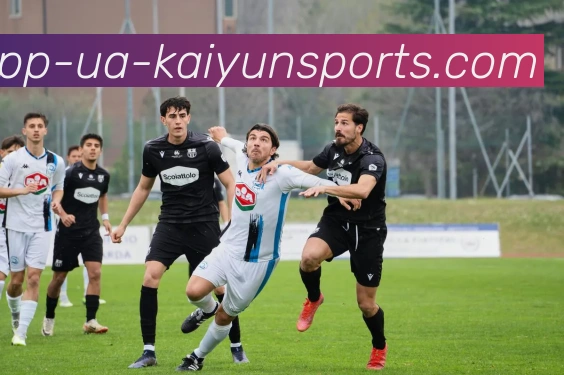 开云appAPP 封面图